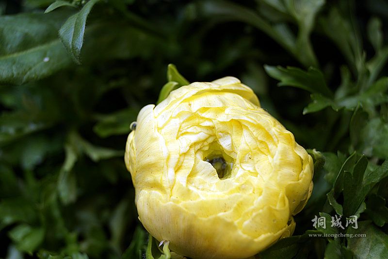DSC02900_.jpg