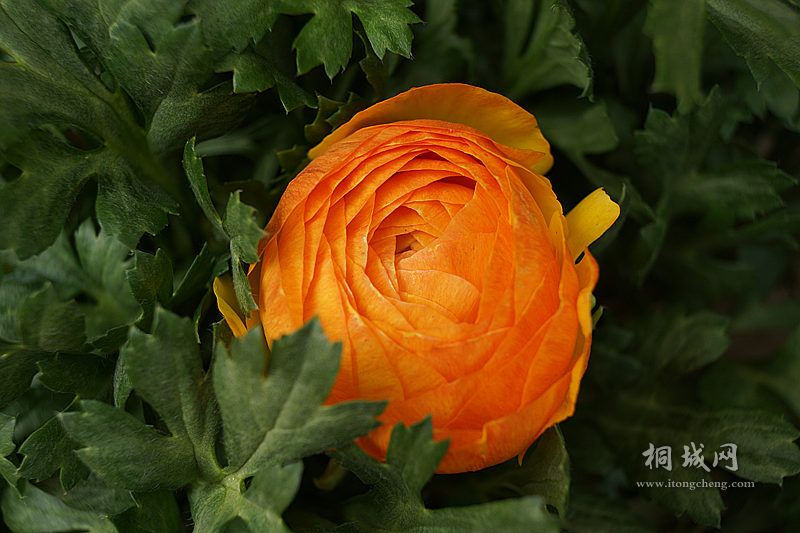 DSC02901_.jpg