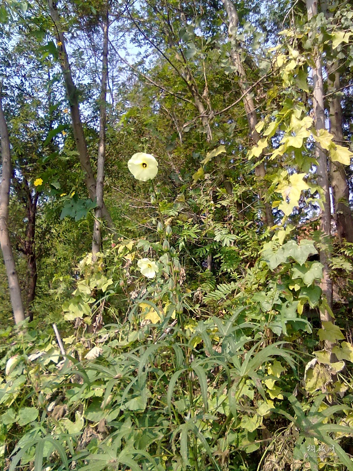 20110924009.jpg