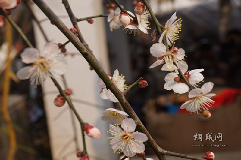 DSC02909_.jpg