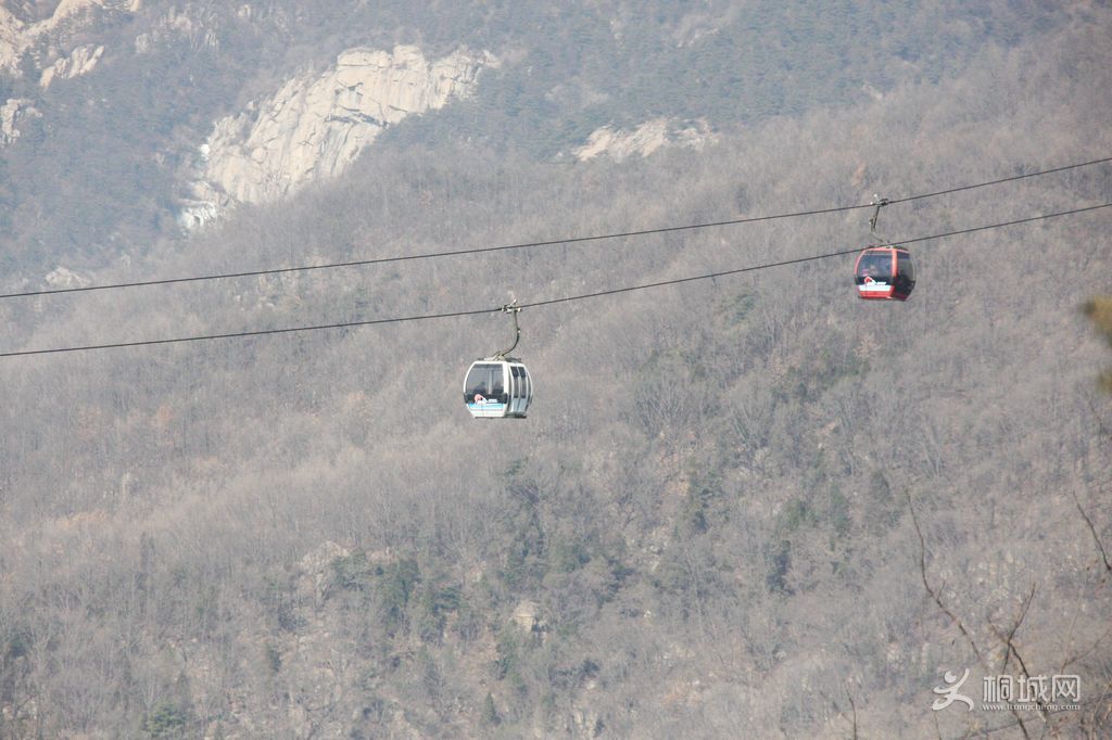 IMG_7135.jpg