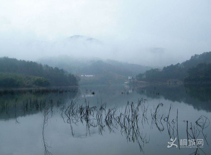 DSCF0827.JPG