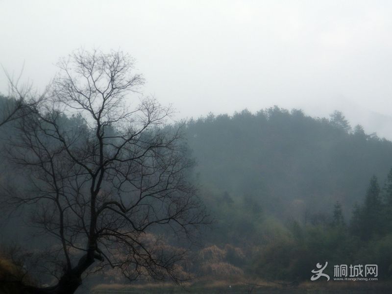 DSCF0824.JPG