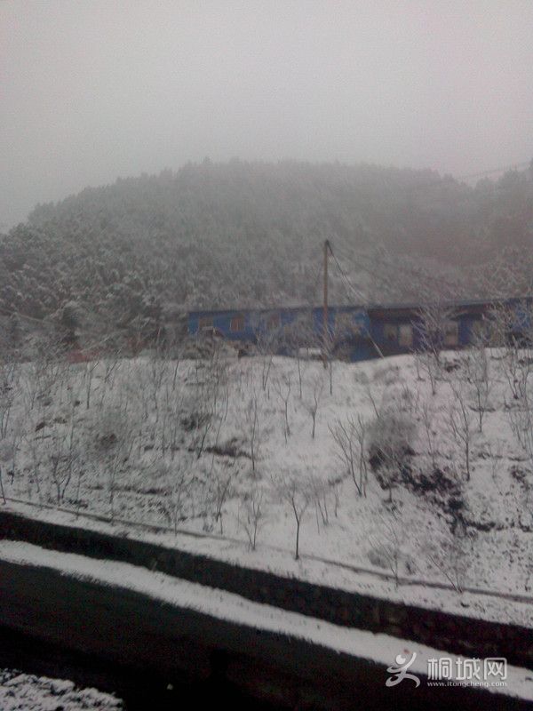 IMG0319075900_.jpg
