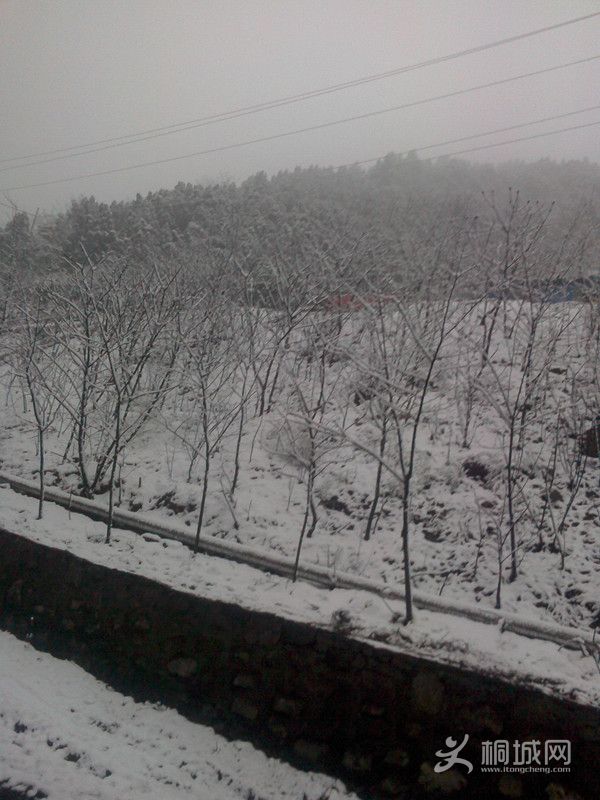 IMG0319080000_.jpg