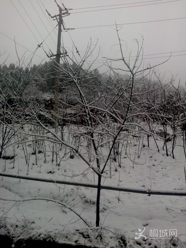 IMG0319080001_.jpg