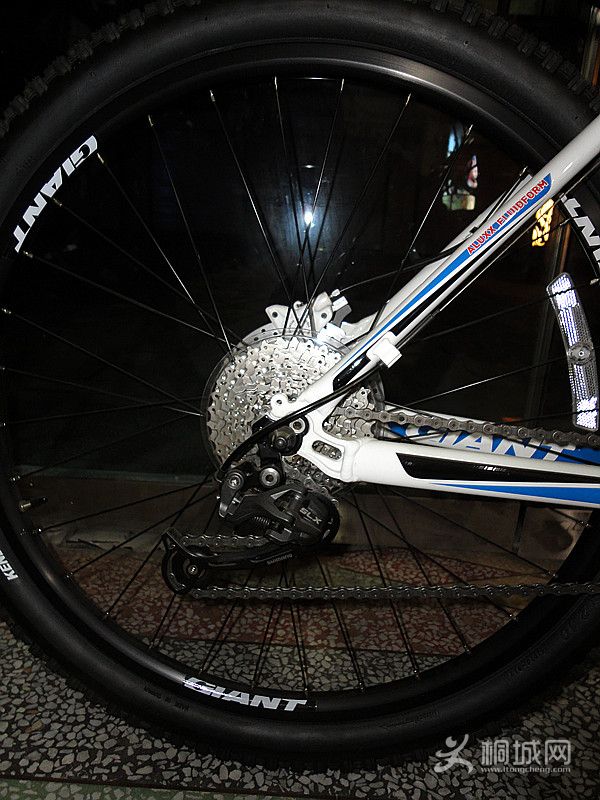 GIANT�ݰ���TALON 1.jpg