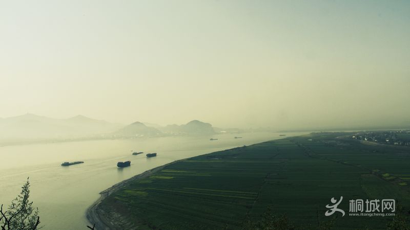 IMG_9039.jpg