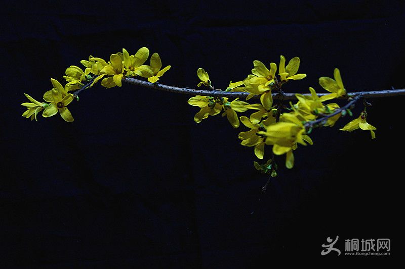 DSC03627_.jpg