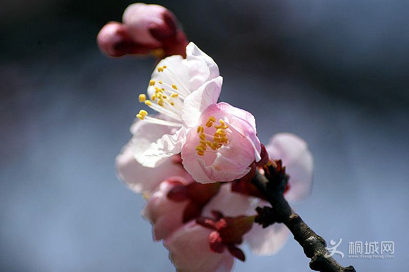 DSC03474_.jpg