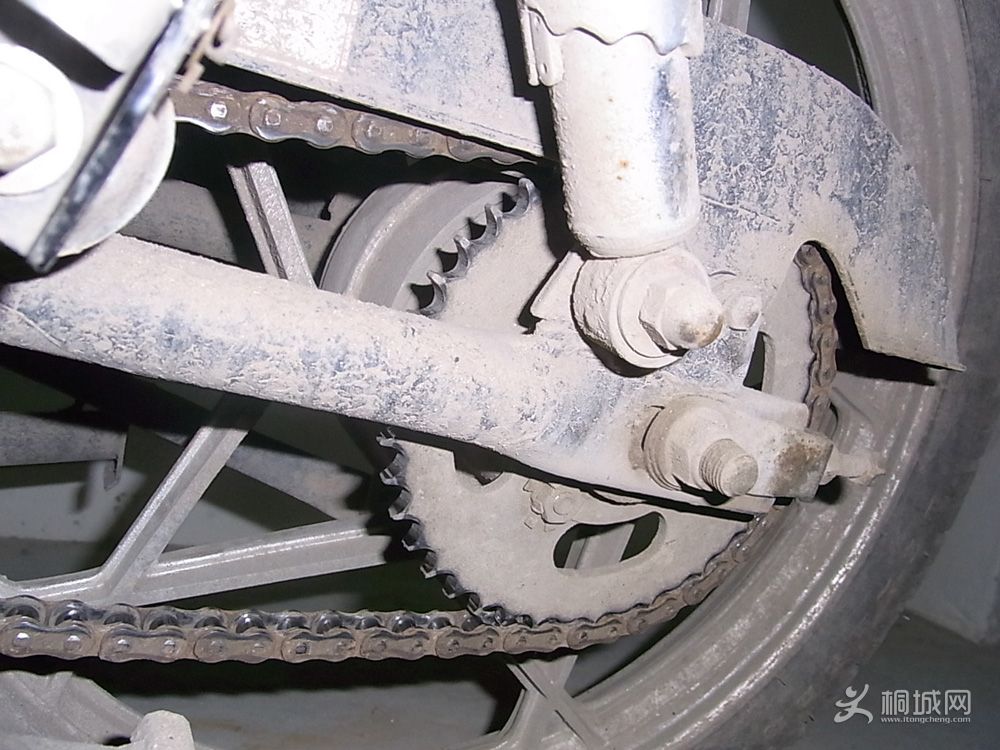 R0011350.JPG