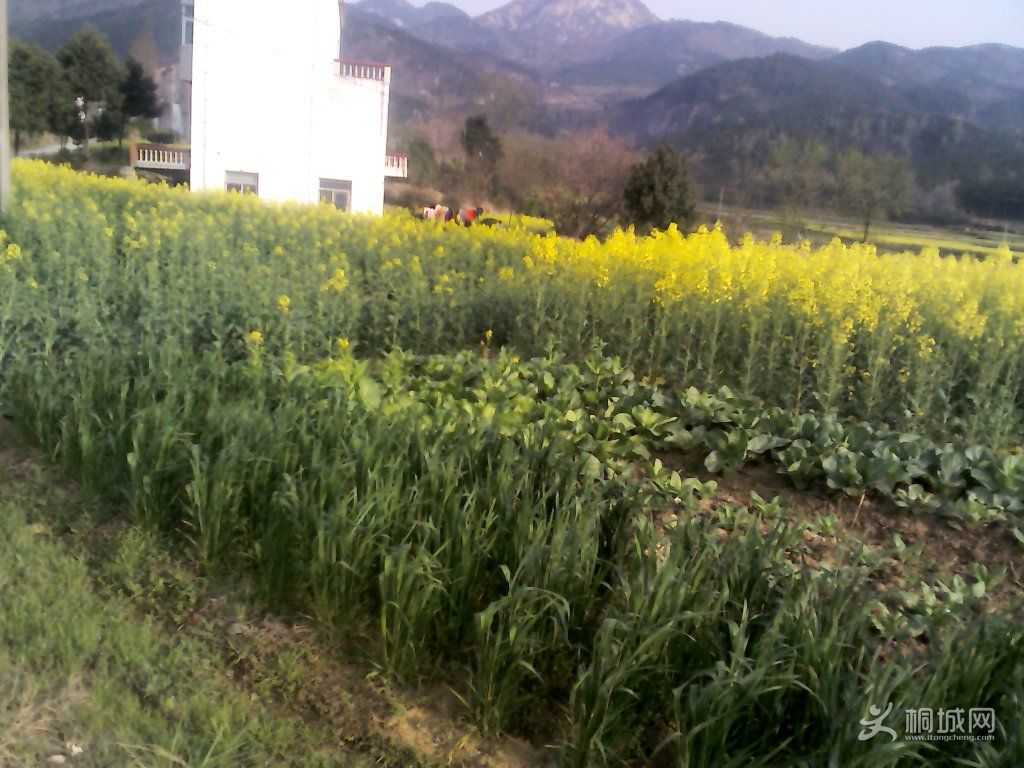 YP20120402074843.jpg