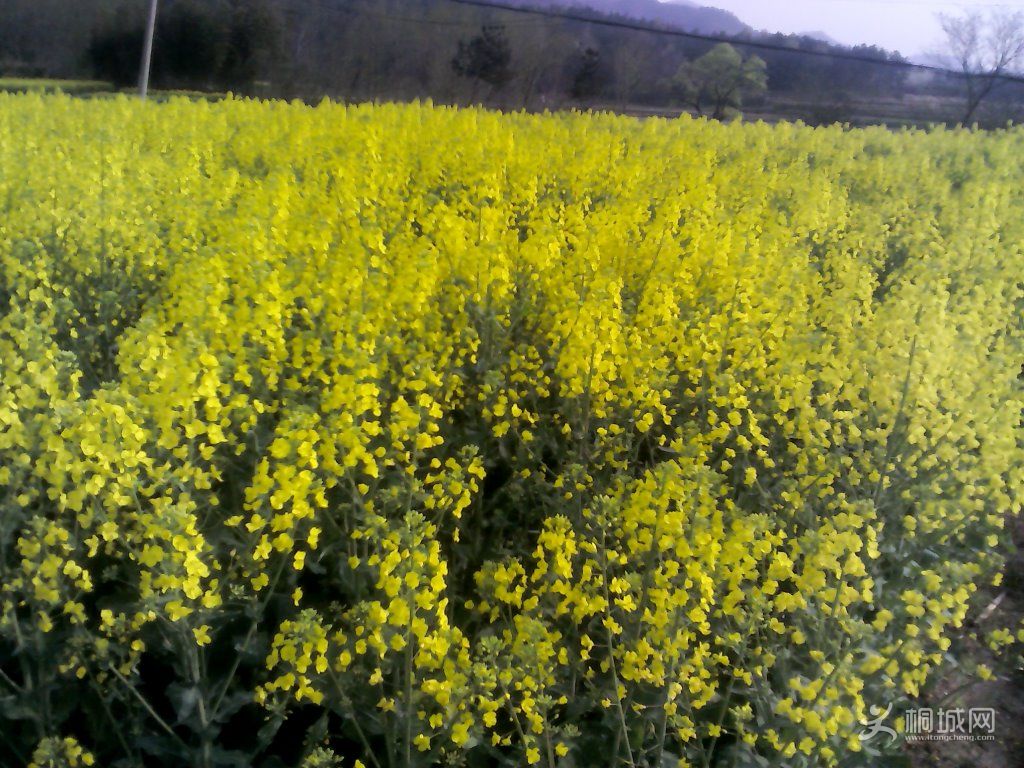 YP20120402075153.jpg