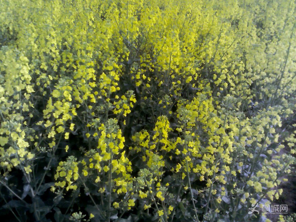 YP20120402075208.jpg