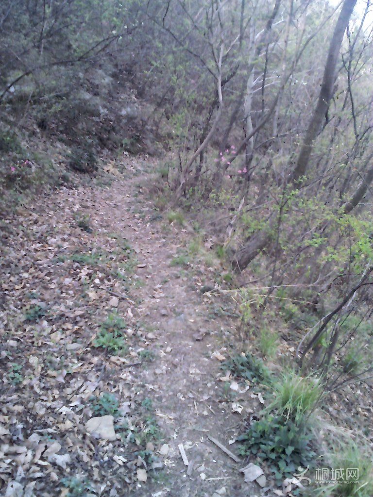 YP20120402092321.jpg