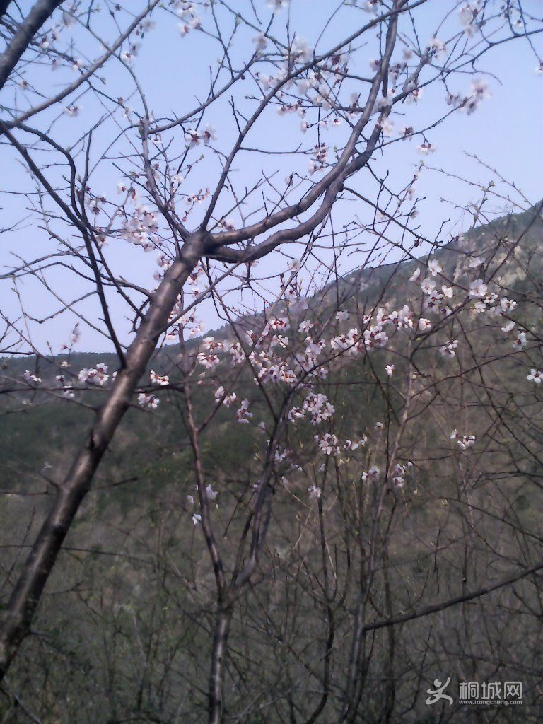 YP20120402093157.jpg