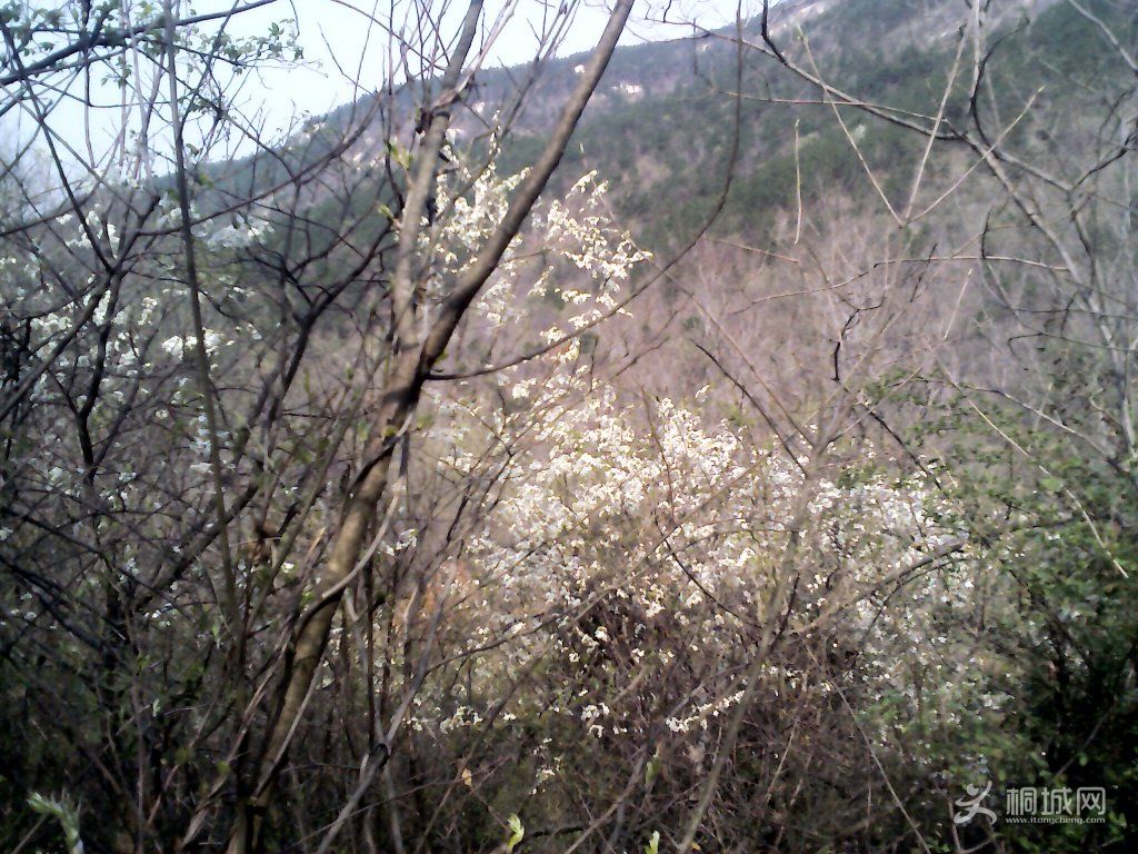 YP20120402093229.jpg
