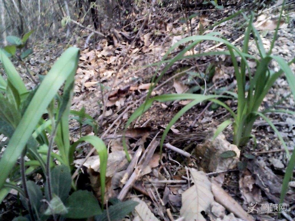 YP20120402093301.jpg