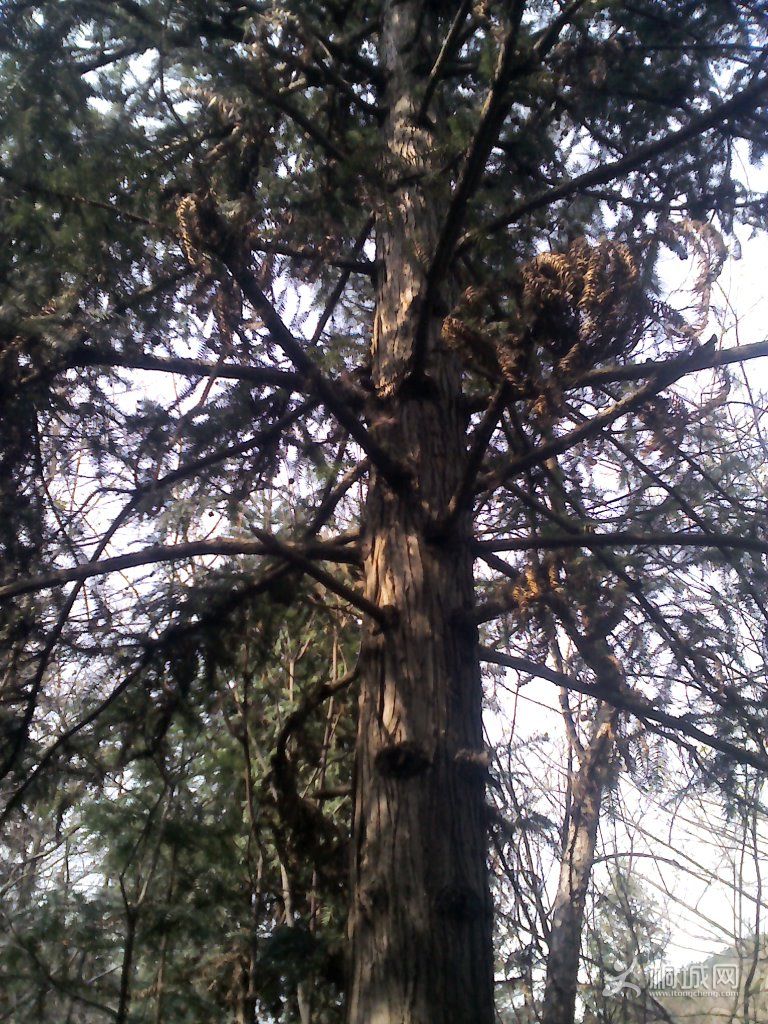 YP20120402093538.jpg