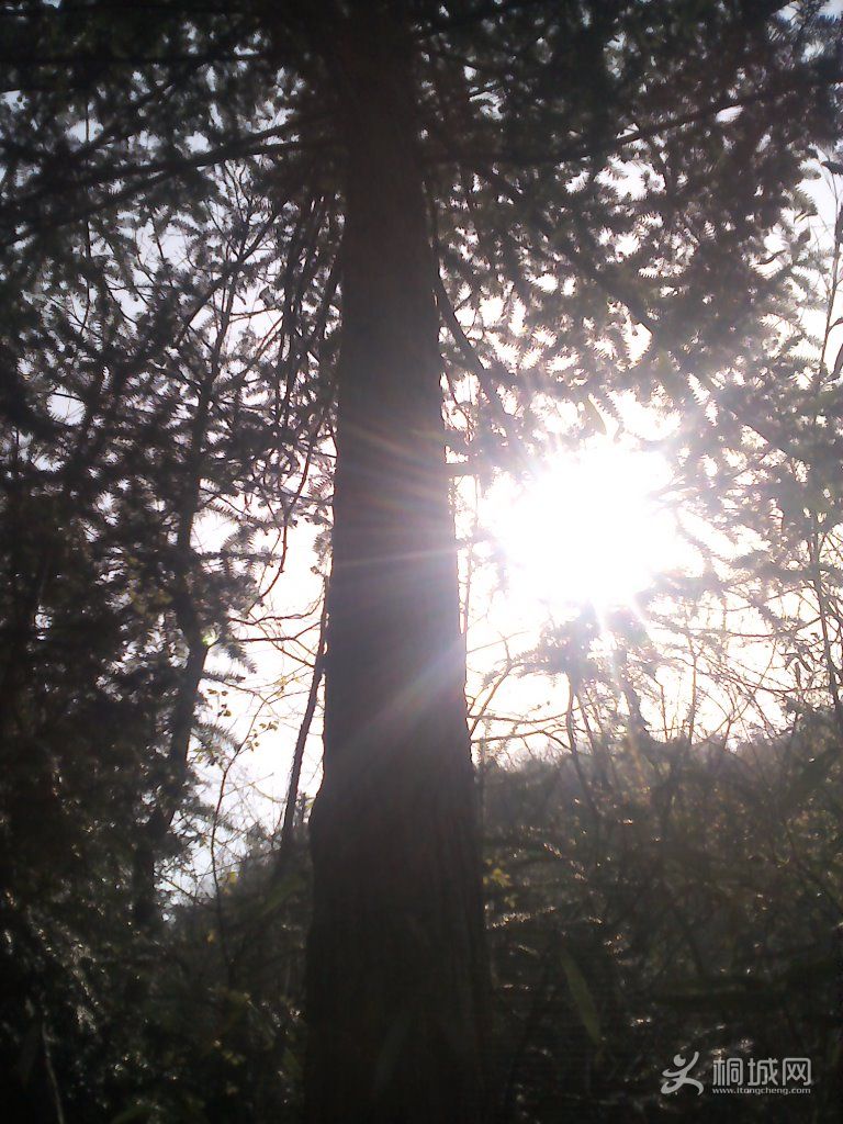 YP20120402093620.jpg