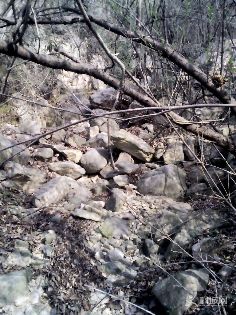 YP20120402093724.jpg