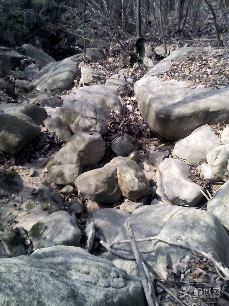 YP20120402093738.jpg