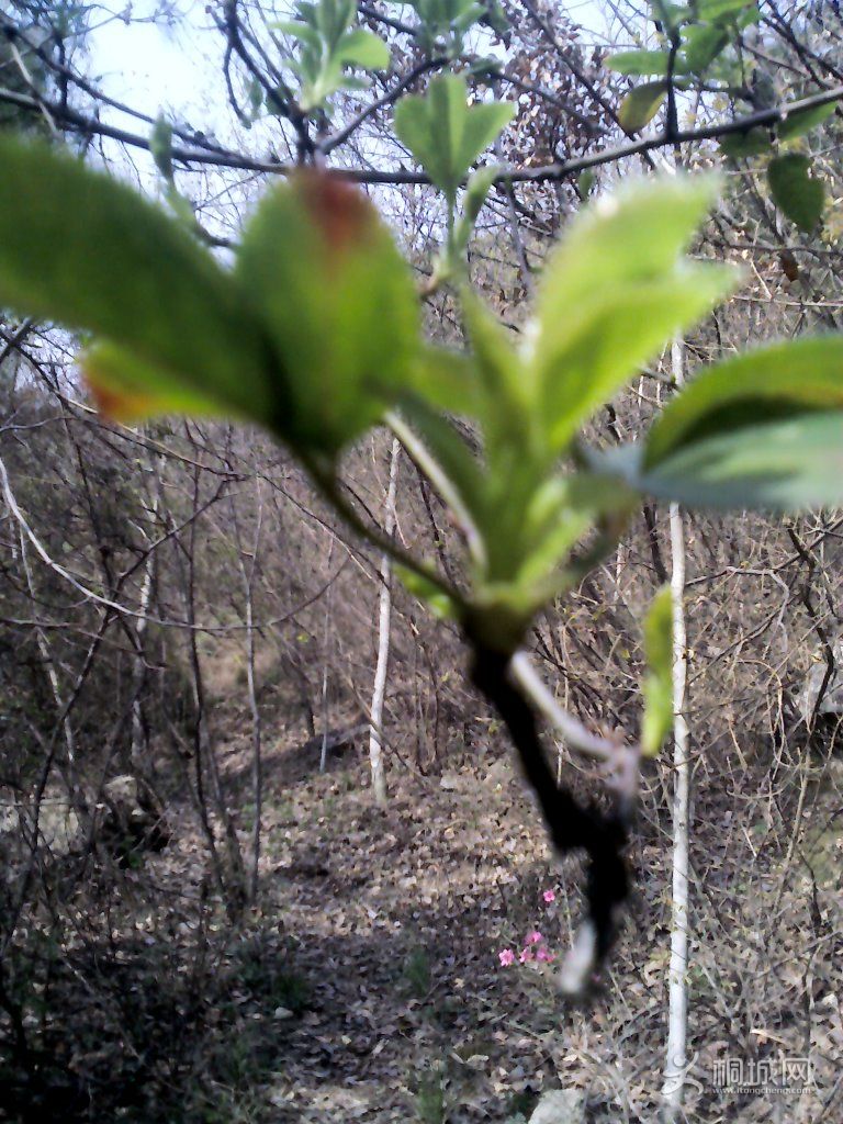 YP20120402093929.jpg