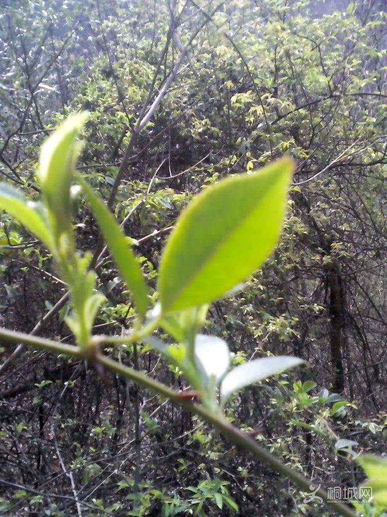 YP20120402094003.jpg
