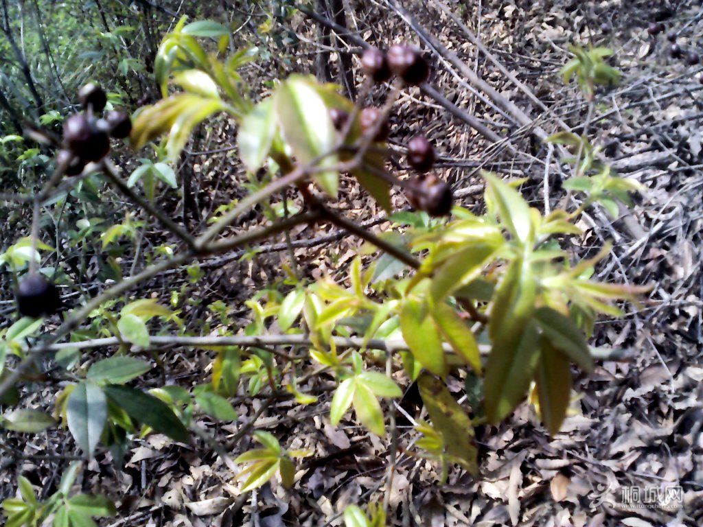 YP20120402094038.jpg