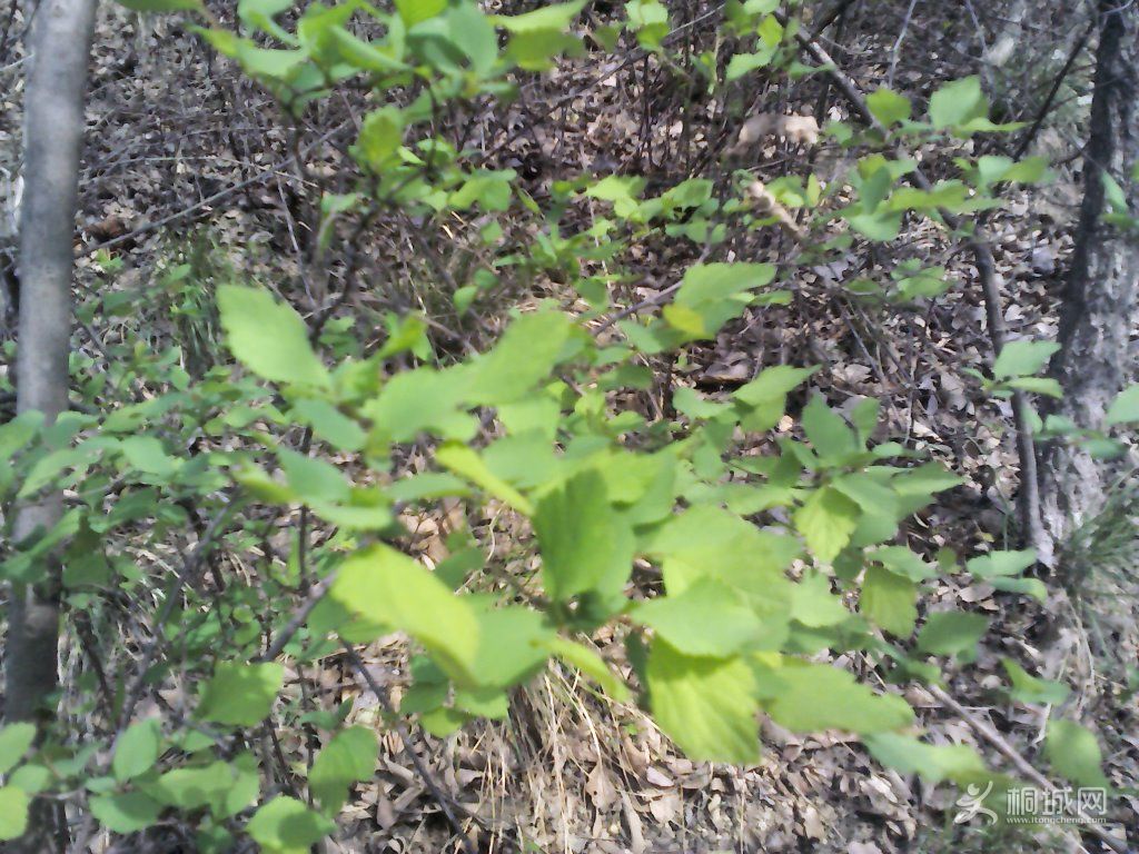 YP20120402094159.jpg