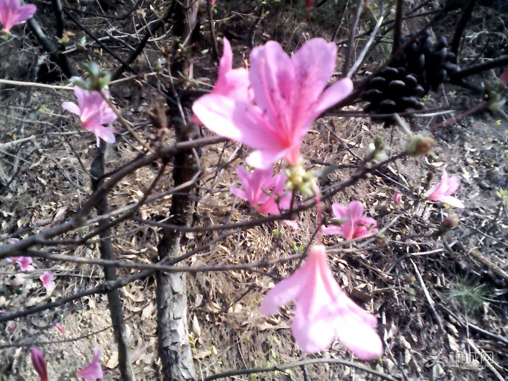 YP20120402094326.jpg