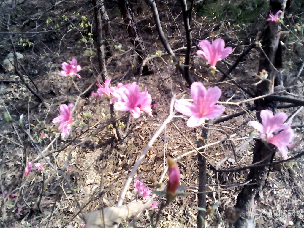 YP20120402094330.jpg