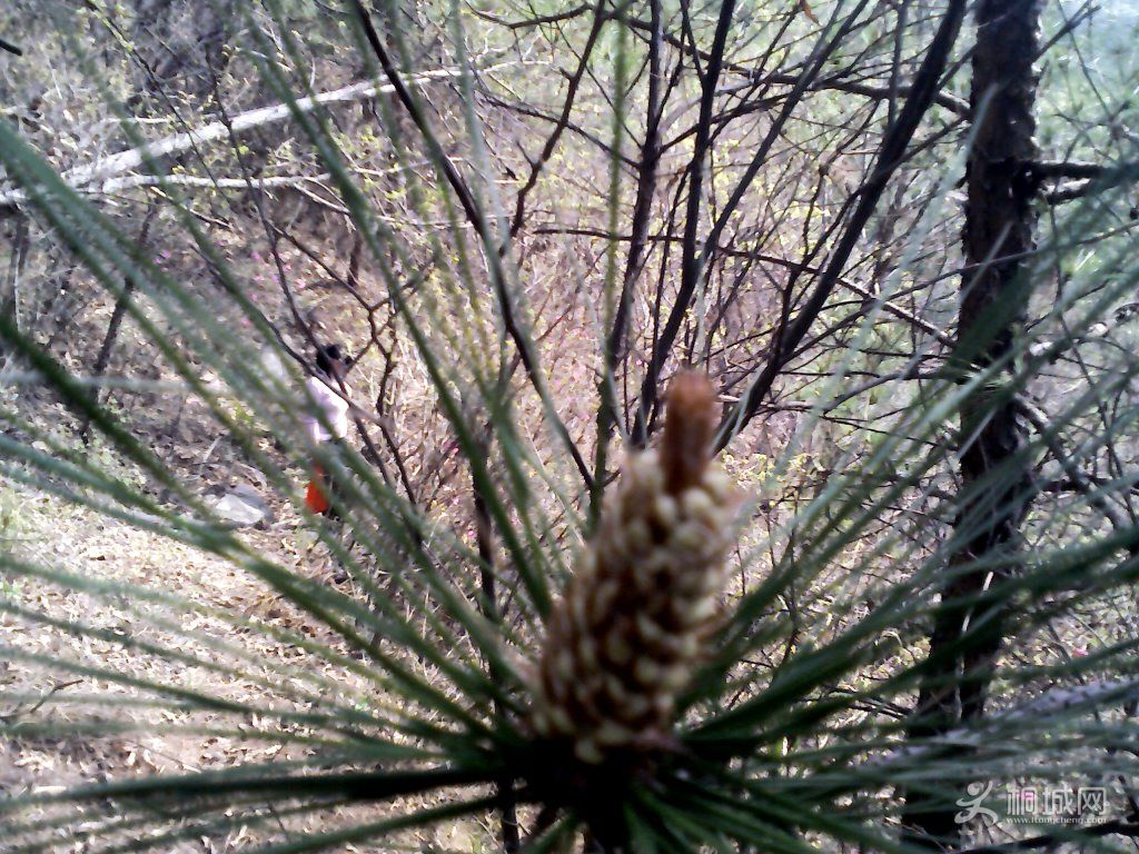 YP20120402094659.jpg
