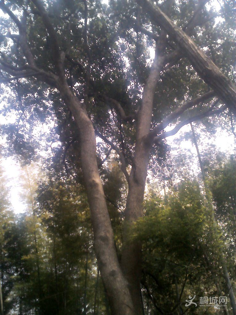 YP20120402115638.jpg
