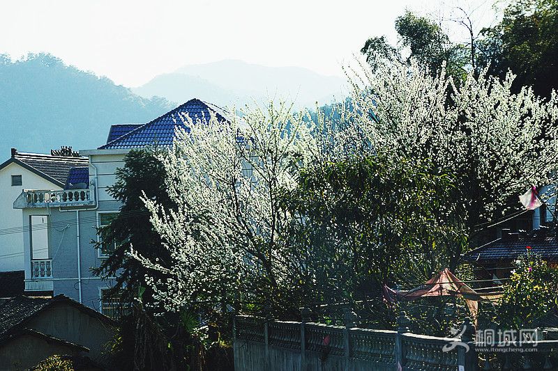 DSC03699_.jpg