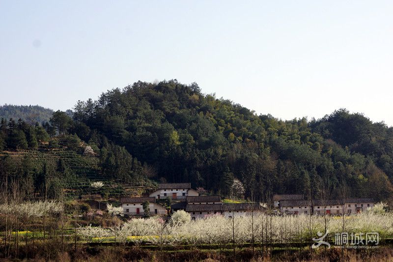 DSC03701_.jpg