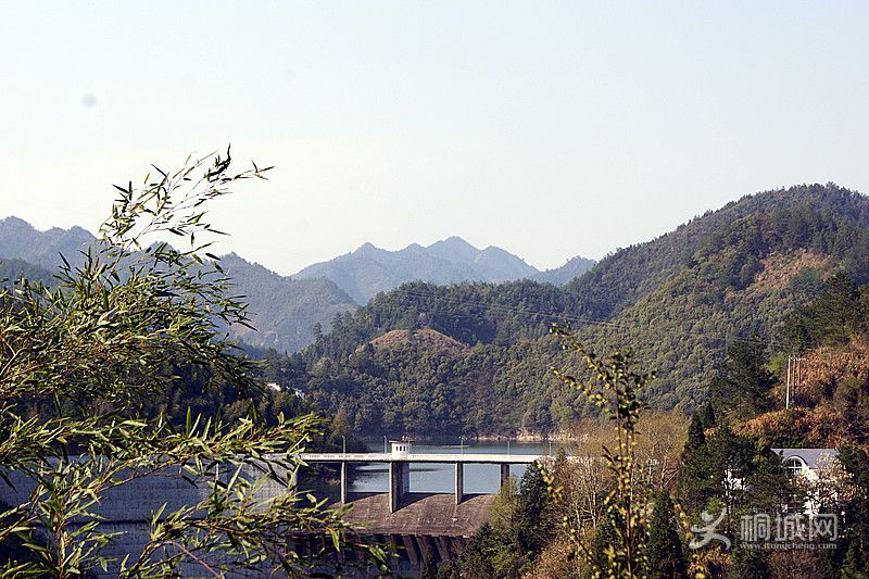 DSC04729_.jpg
