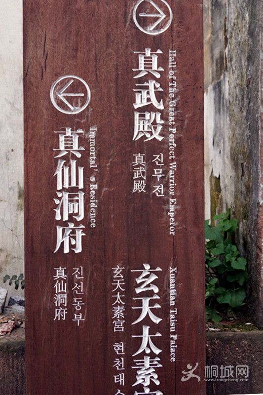 DSC03985_.jpg