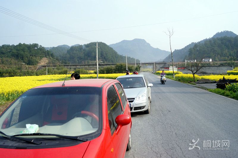 DSC03813_.jpg