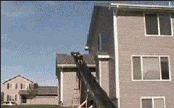 460.gif