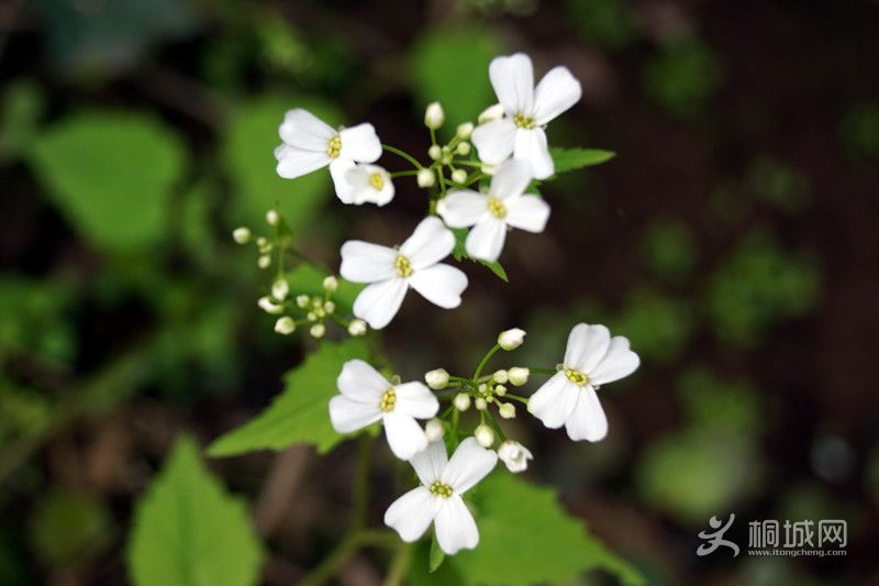 DSC03918_.jpg
