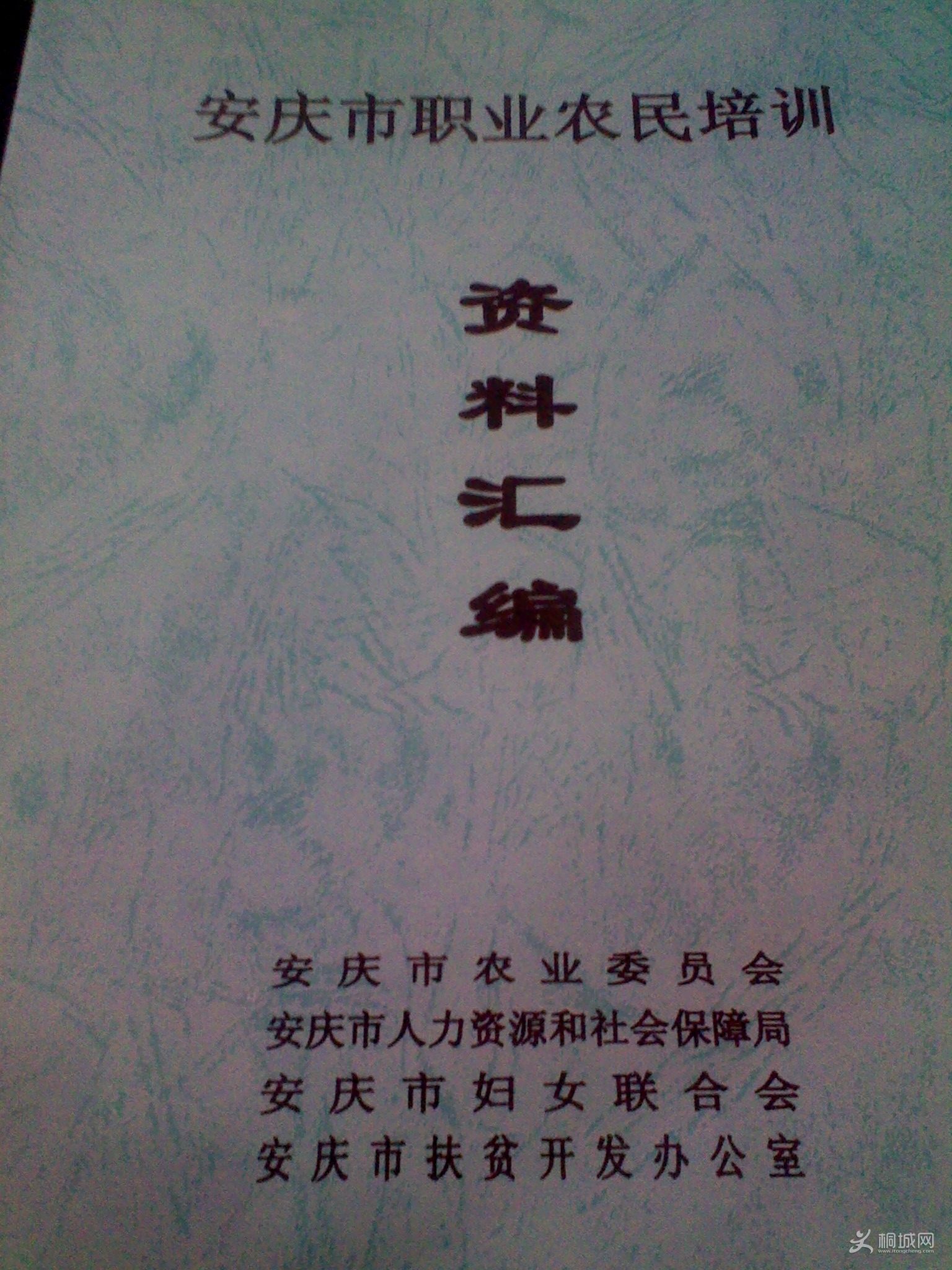 鱾.JPG