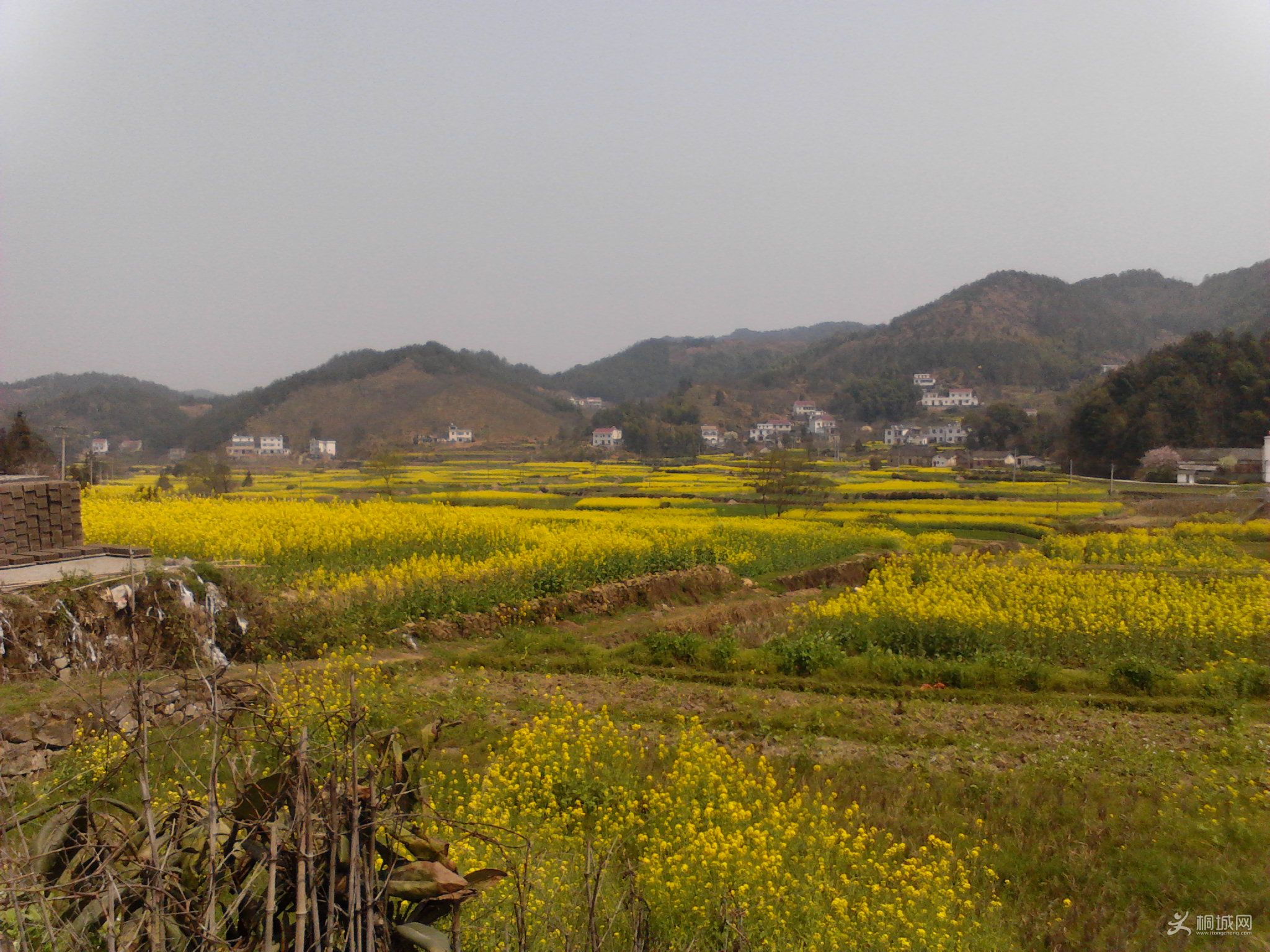 Camera_20120402_123349.jpg