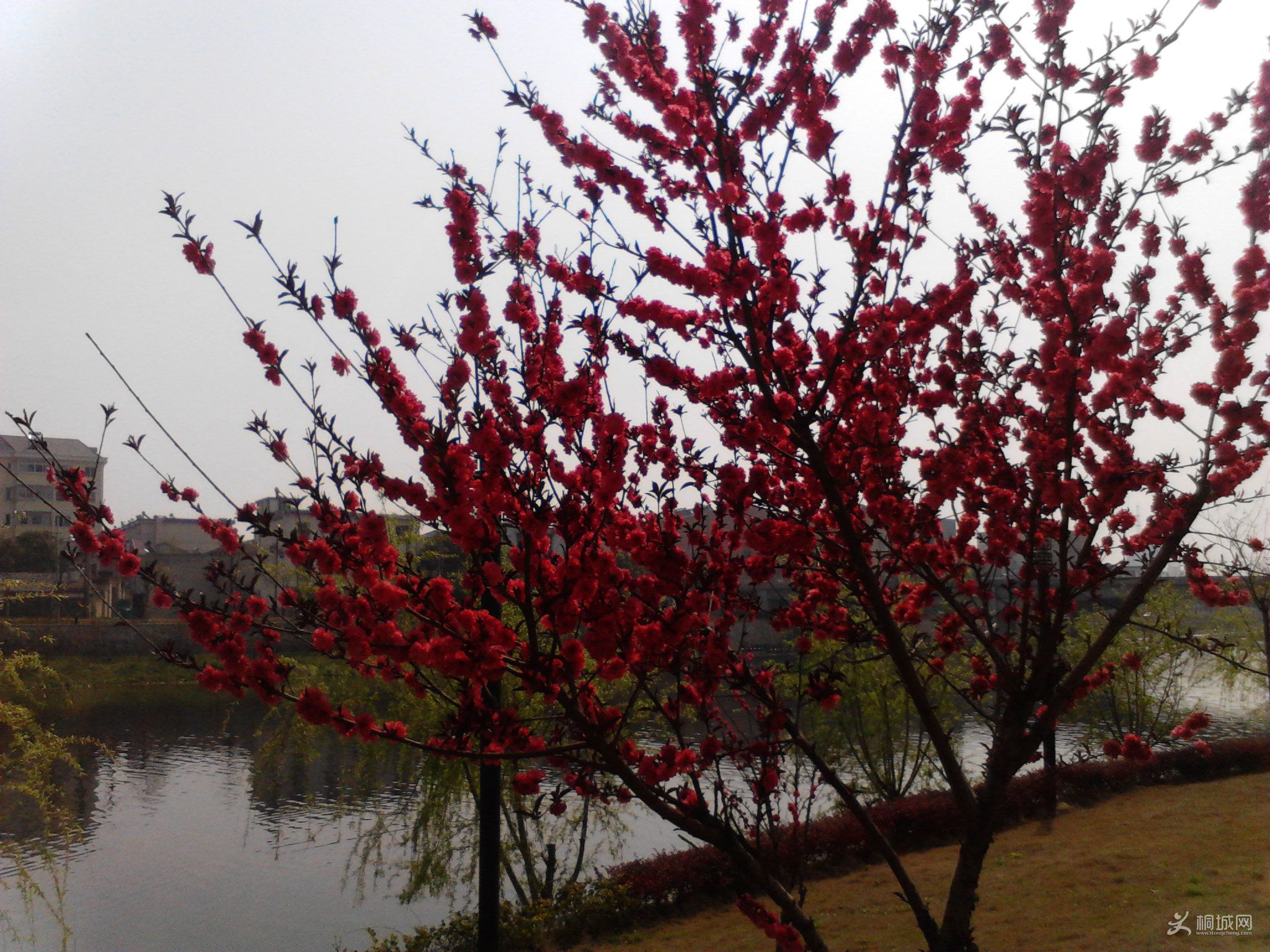 Camera_20120407_100120.jpg