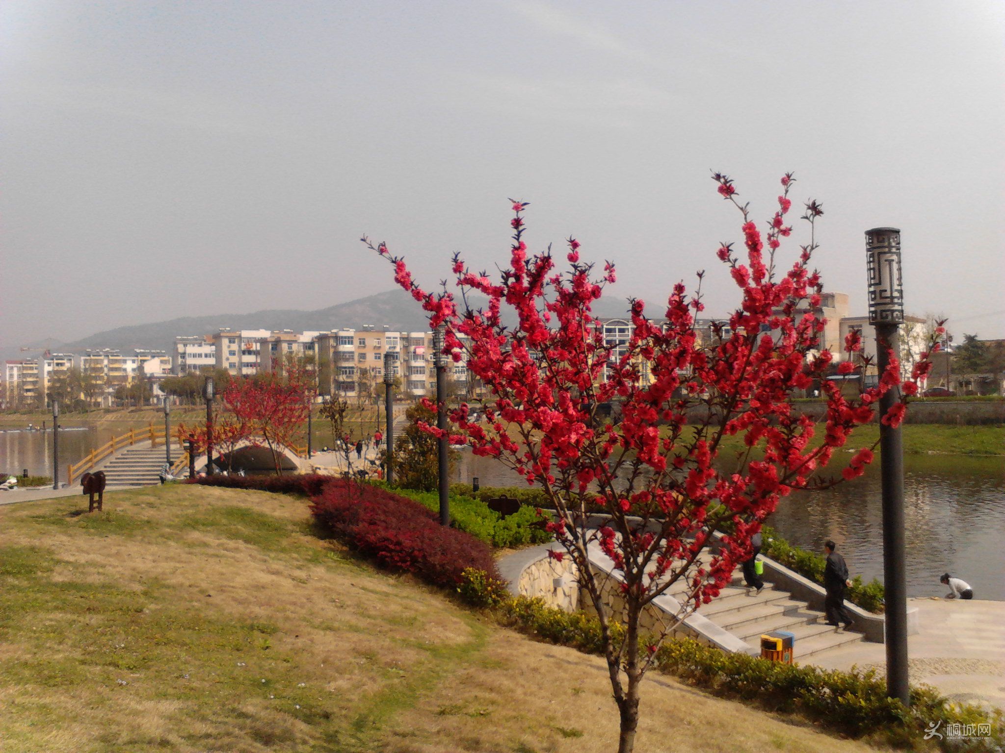 Camera_20120407_100130.jpg