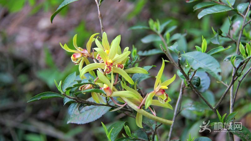 IMG_6146.jpg