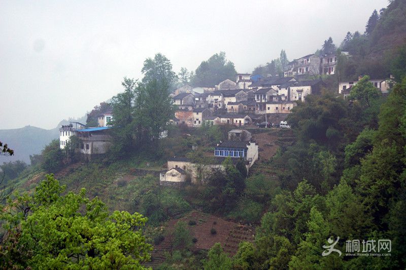 DSC05077_.jpg