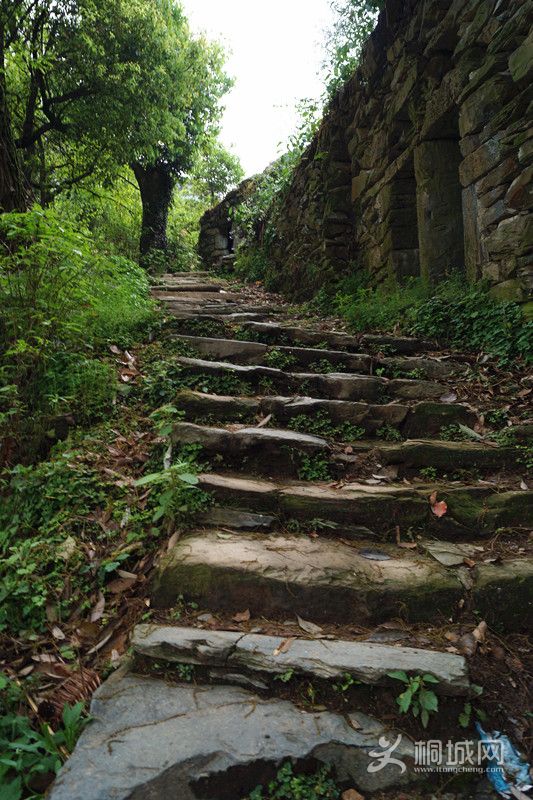 DSC05331_.jpg
