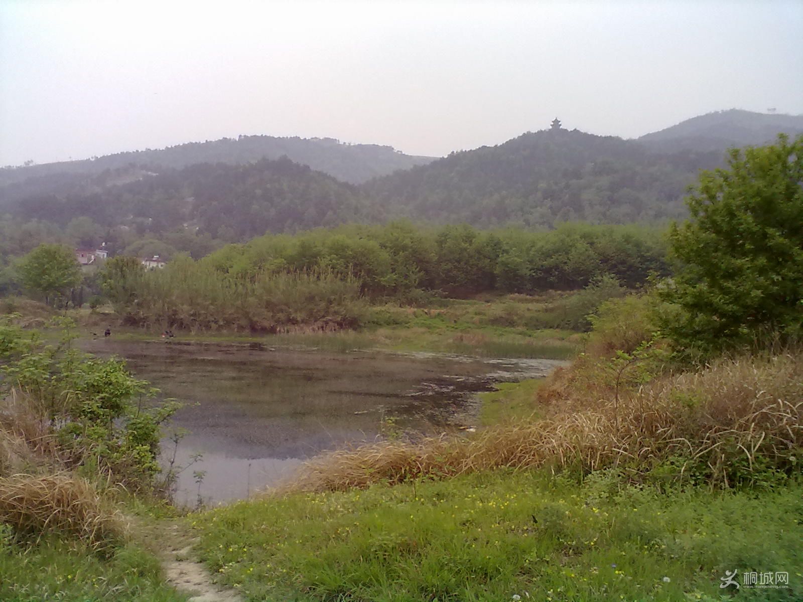 20120418231.jpg