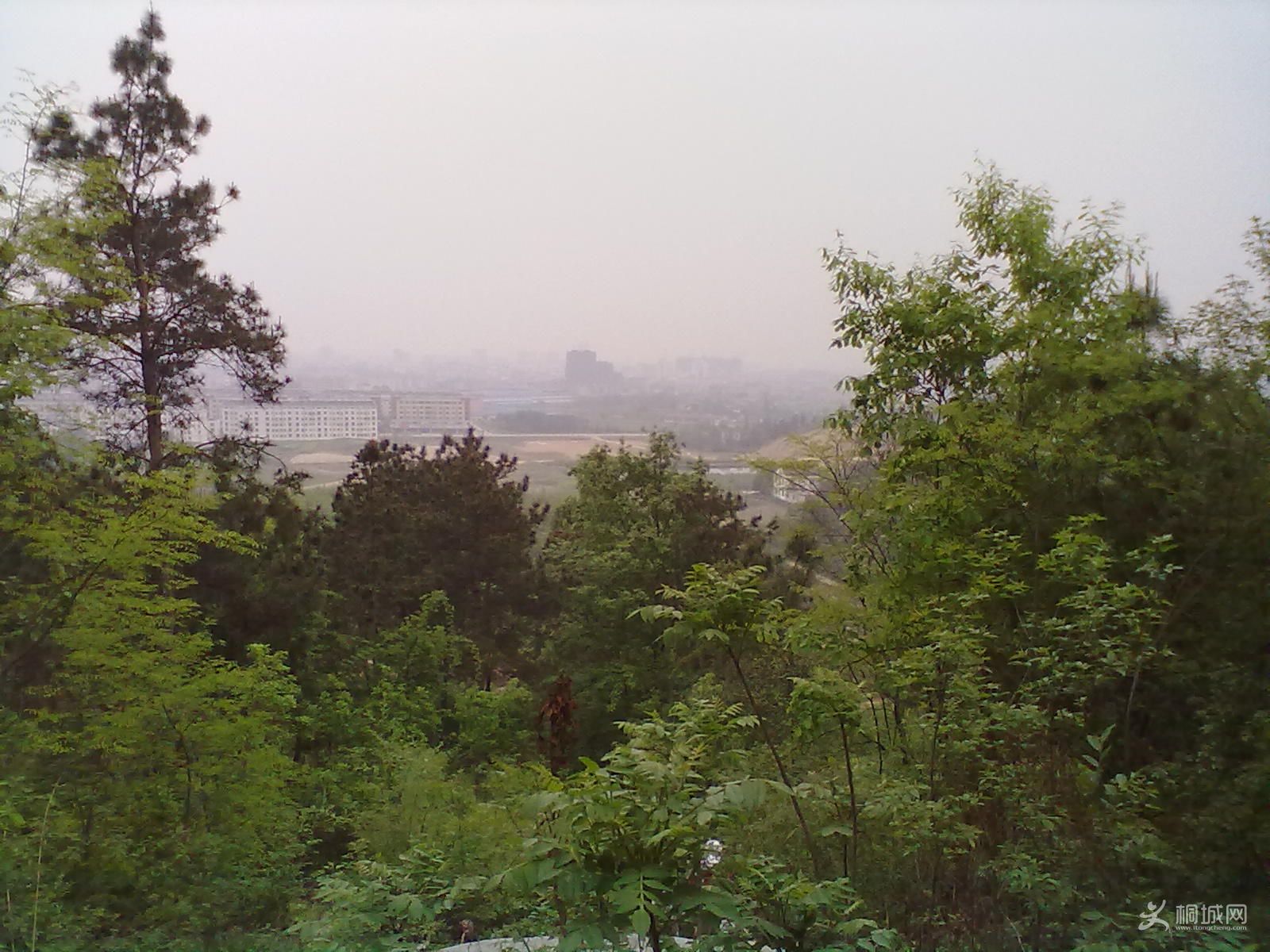 20120418235.jpg